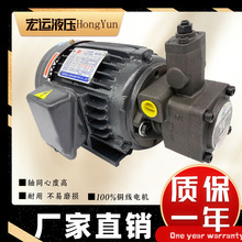 液压油泵电机组VP20+0.75KW1.5液压泵总成内轴电机液压站配件系统