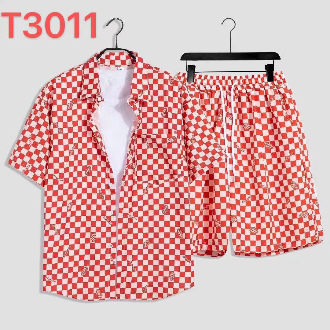 T3011