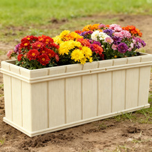 �羳�L���ηNֲ�辰�^����ľ�y�����ϼ��÷N���N����Nֲ���⻨��