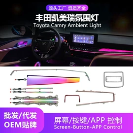 仪表灯;其他车灯