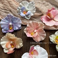 �����m���^3D��ӡ ��Ʒ�|���ֶY���ֹ�DIY�l���^�̩ʽЬ�����滨