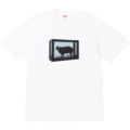 B394 goat white