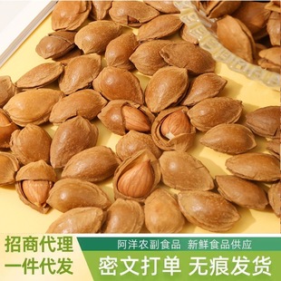 �_���Ӻˎ��������ք������w���b���؈Թ��ɹ��k�������e��ʳ���l