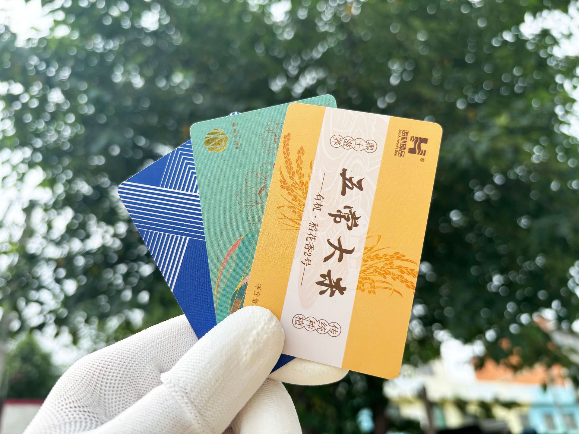 89ec96d83c1ea4786f2540f3212479