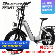 �羳E-Bike20��ѩ��ɳ��늄�����܇�L�m���ĦԽҰ늄�����܇