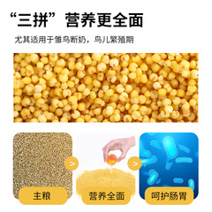 鸚鵡蛋小米專用繁殖飼料玄鳳虎皮珍珠鳥糧無殼雞蛋黃斷奶幼鳥食