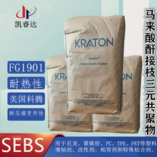 SEBSvFG1901GT zzv1901 R֦