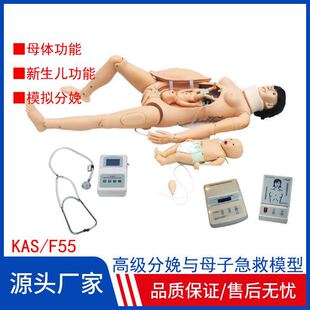 Advanced Childbirth and Mother and Child Emergency Simulator F55 Simulation Obstetrics Model