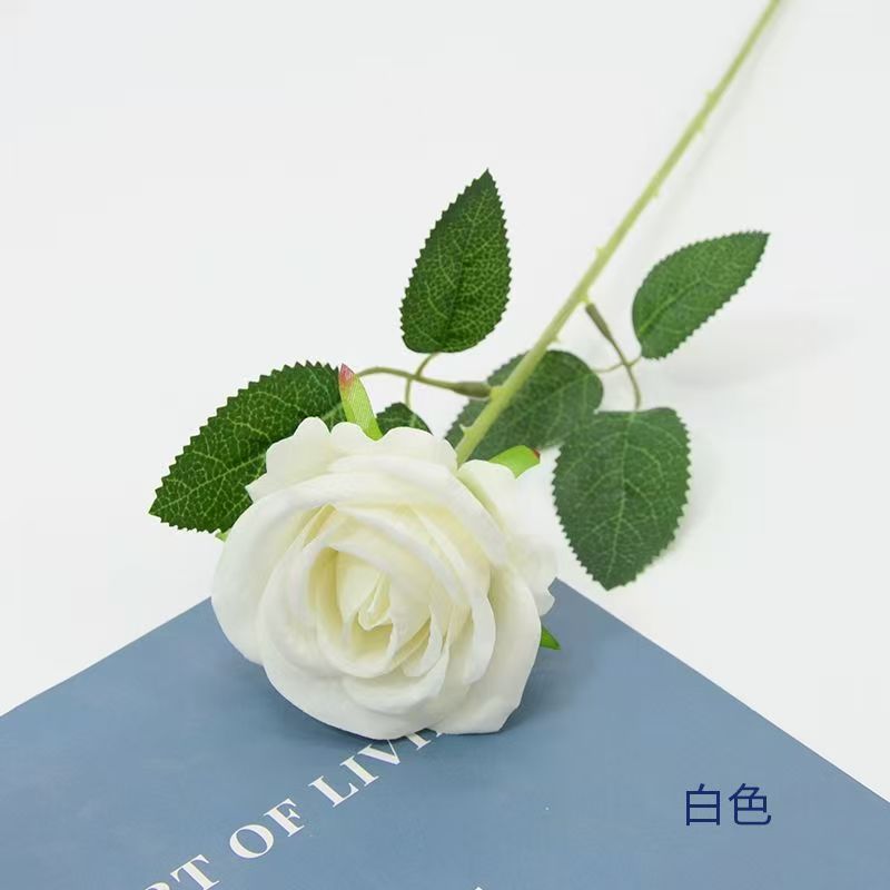 Volta Rose-White