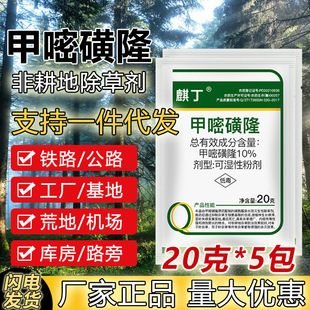 ���׻�¡�������ݠ������������s���F·�����������׻�¡���݄�