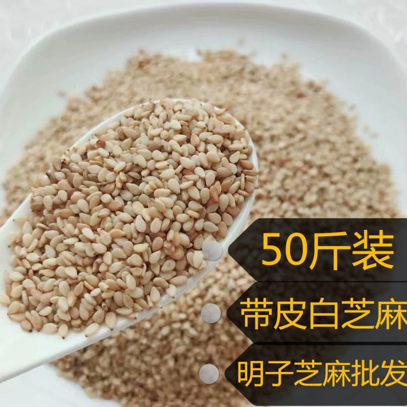 熟芝麻批发50斤足称带皮生白芝麻仁白芝麻脱皮无沙榨油25kg黑芝麻