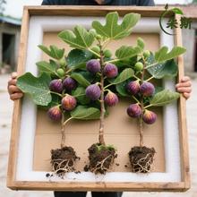 o䮔YƤͥԺ̨Nֲt֦l