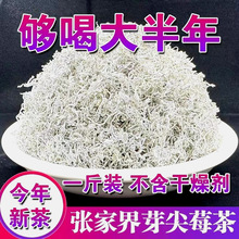 龙须莓茶张家界芽尖特级养生茶正品野生永顺正宗霉茶永顺藤茶125g