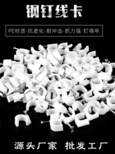 �ᔾ����A��늾��̶������ӾW���۠�ᔾ��늾����������� 100��