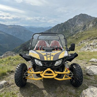 300CC�����p��ȫ����܇�H��ԽҰ����܇��݆Ħ��܇UTV�����Ғ�