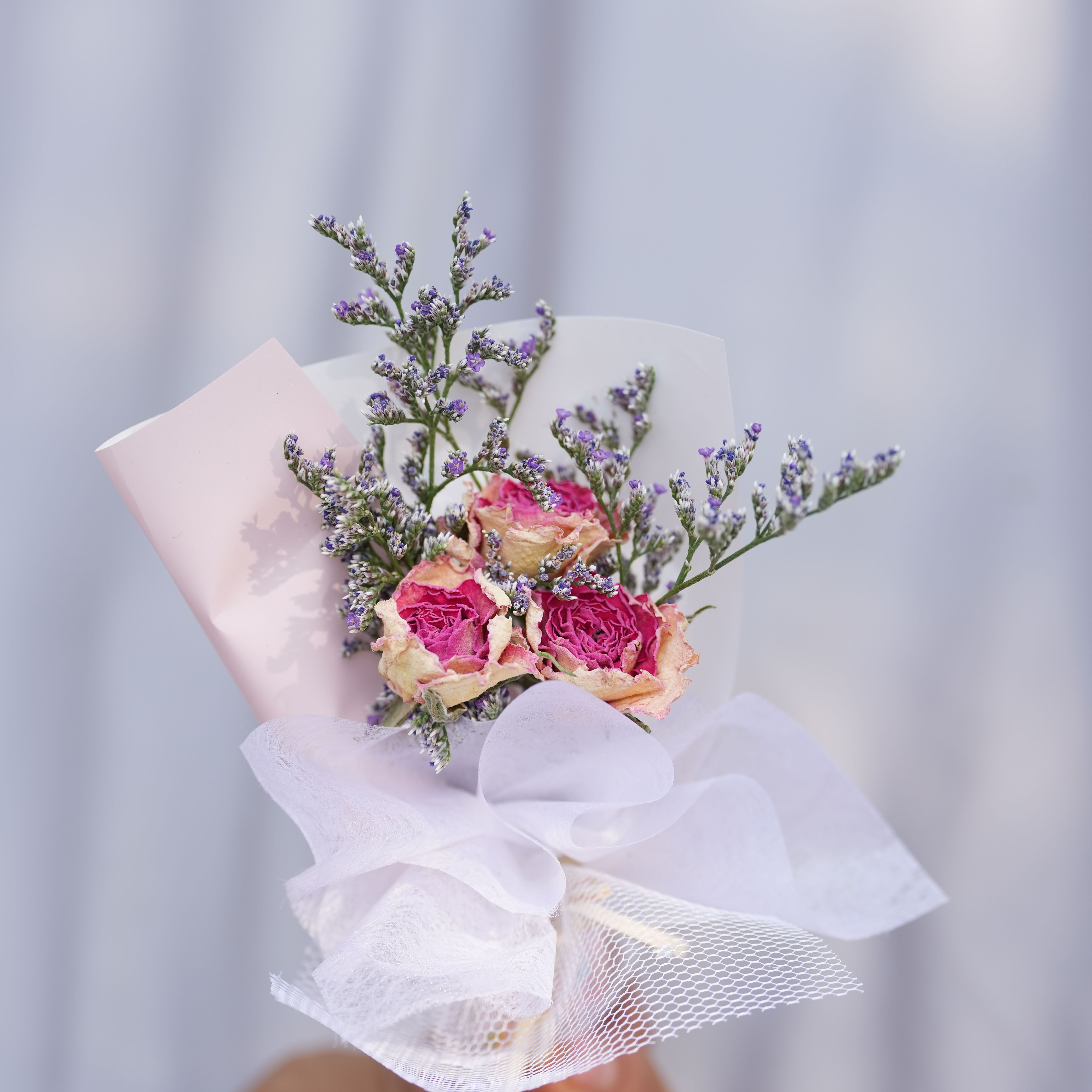 인 미니 핑크 로즈