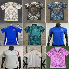 242526球迷款意大利特别版足球服训练服比赛服国家队短袖新款透气