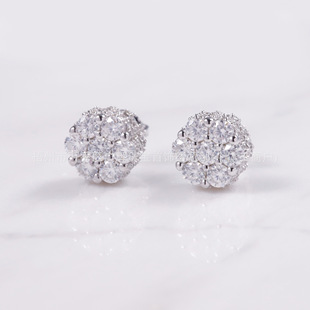 Cross-border Amazon Round Flower Silver Pin Earrings Women's Diamond-encrusted Zircon Sunflower Light Luxury High-end Earrings