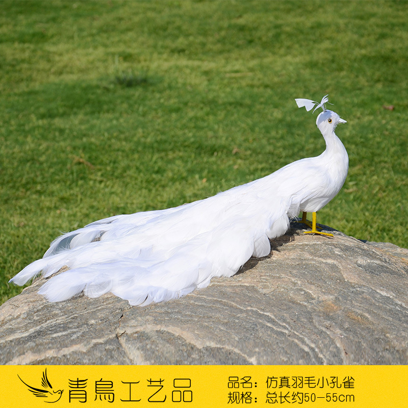 흰 거위 깃털 떠 다니는 부드러운 꼬리-직선 머리-50cm