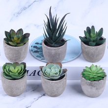 仿真多肉植物纸浆盆景多肉盆栽植物多肉组合3ES0853-1高仿真