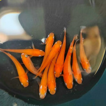 �^�����F�~����ϲ������^�p�~ С���\��С�~�����B���B�~