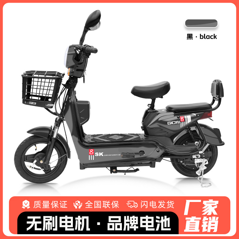 Bicicleta Eléctrica Golden Eagle para Comercio Exterior al por Mayor, Scooter Eléctrico para Adultos de Dos Plazas, Vehículo Eléctrico Ligero de Dos Ruedas con Batería de Larga Duración.