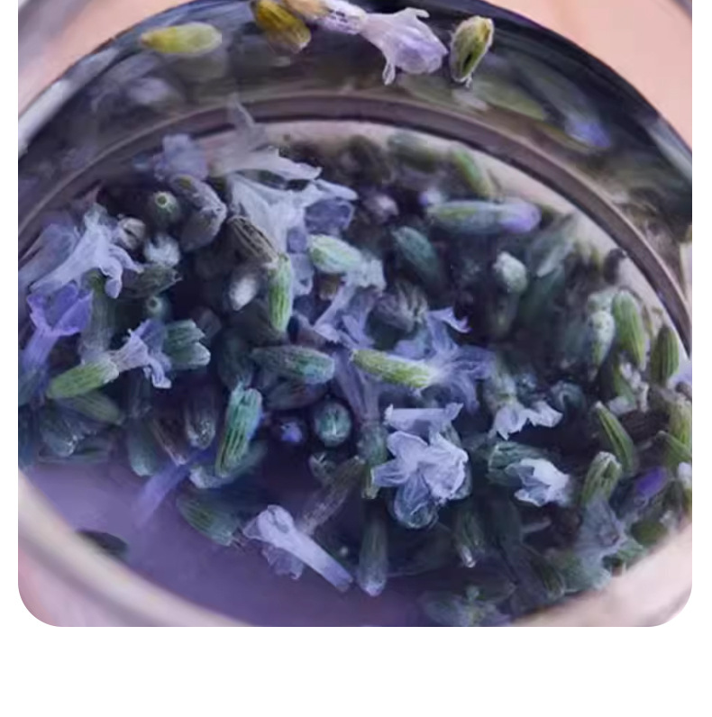Dried Lavender Buds Xinjiang Yili Aromatic Herbal Flowers 500g Bag for Tea Sachets and Culinary Use preparation