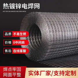 不锈钢电焊网养殖网工地隔离防护网地暖网片热镀锌铁丝网 抹灰网