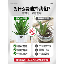 �J�C�����҃ȳ���ȩ�����՚�ֲ���k���������ƶ����ļ����B����