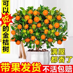 �ļ���ۘ���С���Ә���ؔ�辰���Ԏ���ֲ���҃Ⱥ��B���ܿ͏d����