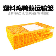 �������u�\���D���u�\���\ݔ�Bֳ���ϼ��ô�̖����u���Z�����û\