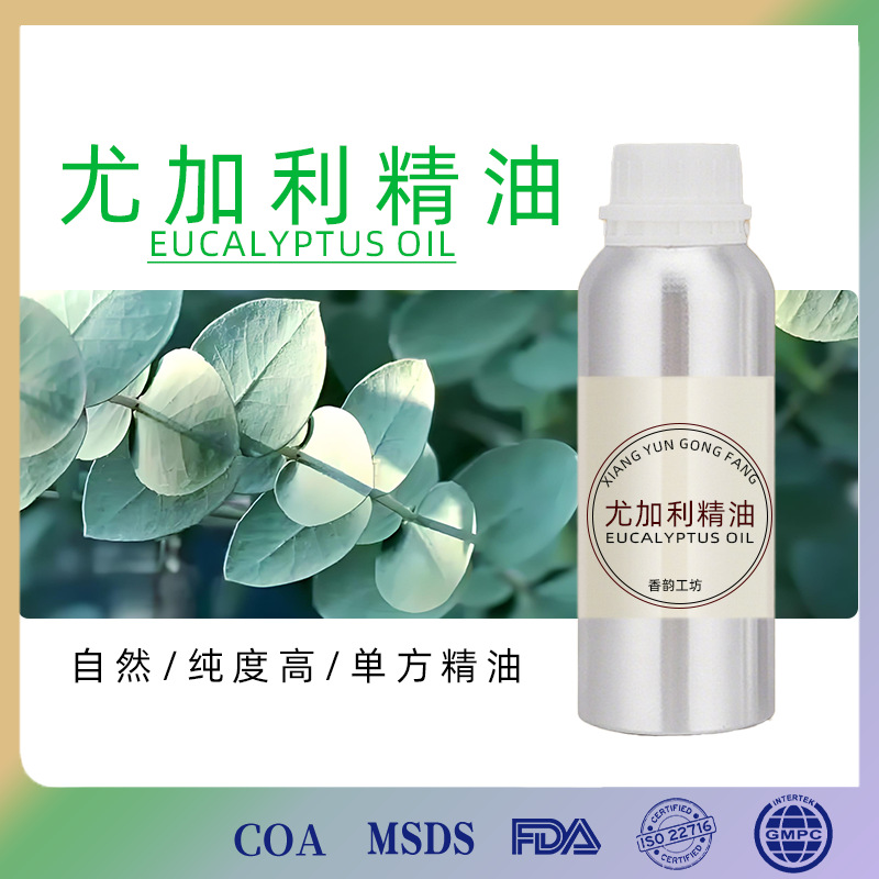 高纯度芳疗级尤加利精油植物精油蒸馏按摩精油刮痧桉叶油现货