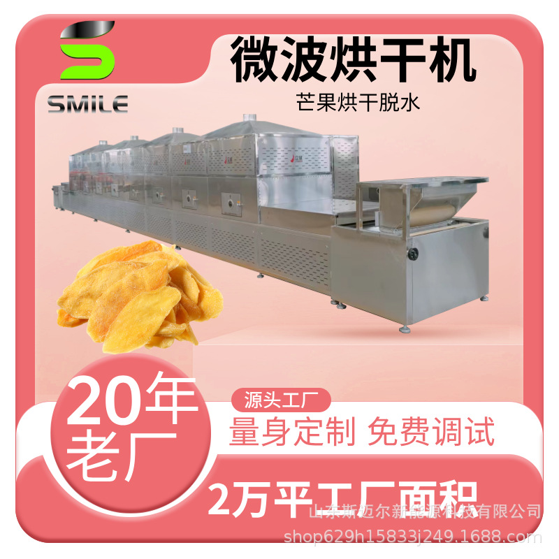 芒果葡萄干隧道式烘干工业烘干设备 药材桂圆桂皮烘干机