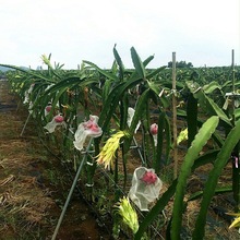 �ļ��t�Ļ�������t��������������Ԯ���Y���҃��ϱ����Nֲ