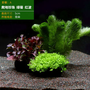 �~���B�~ˮ�������������ˮ�����Լtɫֲ���쾰�ײ��������T��