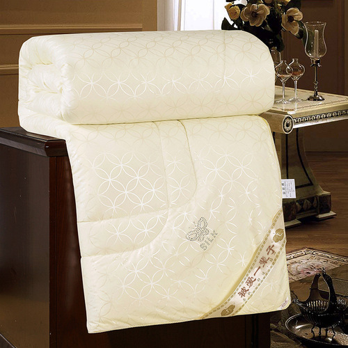 Spring and autumn air conditioning quilt thickened warm quilt core winter quilt single double student dormitory mattress manufacturer wholesale