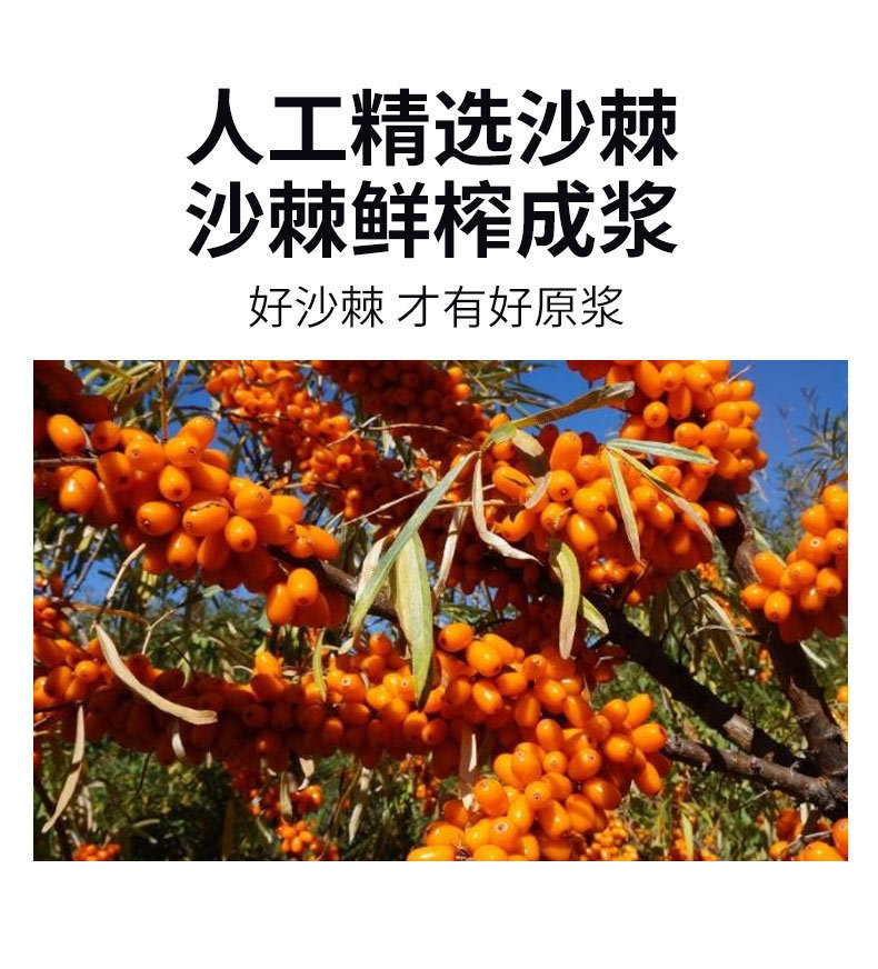 Organic Sea Buckthorn Puree Sha Ji 210ml Concentrated Juice Single Box specifications