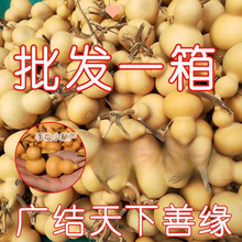 ���J�؃r����������С���J��Ʒ���lС���ְѼ���Ȼ���J�������