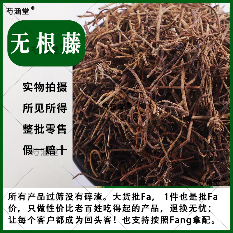 无根藤野生中药材菟丝子草 菟丝藤 无娘藤 菟丝草 罗网藤菟丝子藤