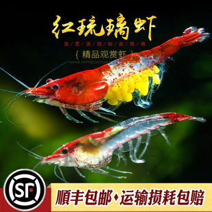 �t�����rˮ���~��ˮ������匙����w�Ꭷ��ˮ�^�p����С�����r