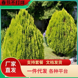 һ�����l����ؘ������Ե��Ԟ�������S���С��Ȱؘ��������ɹ�