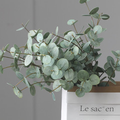 北歐INS網紅仿真綠植逼真尤加利金錢葉單支三叉七叉裝飾攝影道具