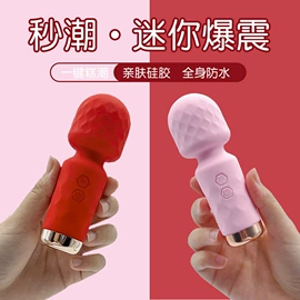 震动棒;情趣跳蛋;后庭用品