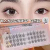 Three rows of black stalk sun flowers
