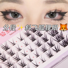BQI狐系假睫毛 狐狸眼自然卷翹仿真分段式歐美純野狐系斜飛假睫毛
