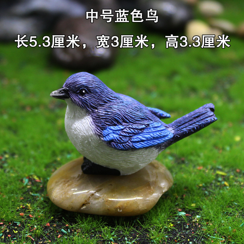 Oiseau bleu moyen