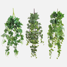 ���R�d����G�}�ڒ��ٗl�پGֲ�ָ�ֲ��Gɫ����ֲ��젝�ٻ���