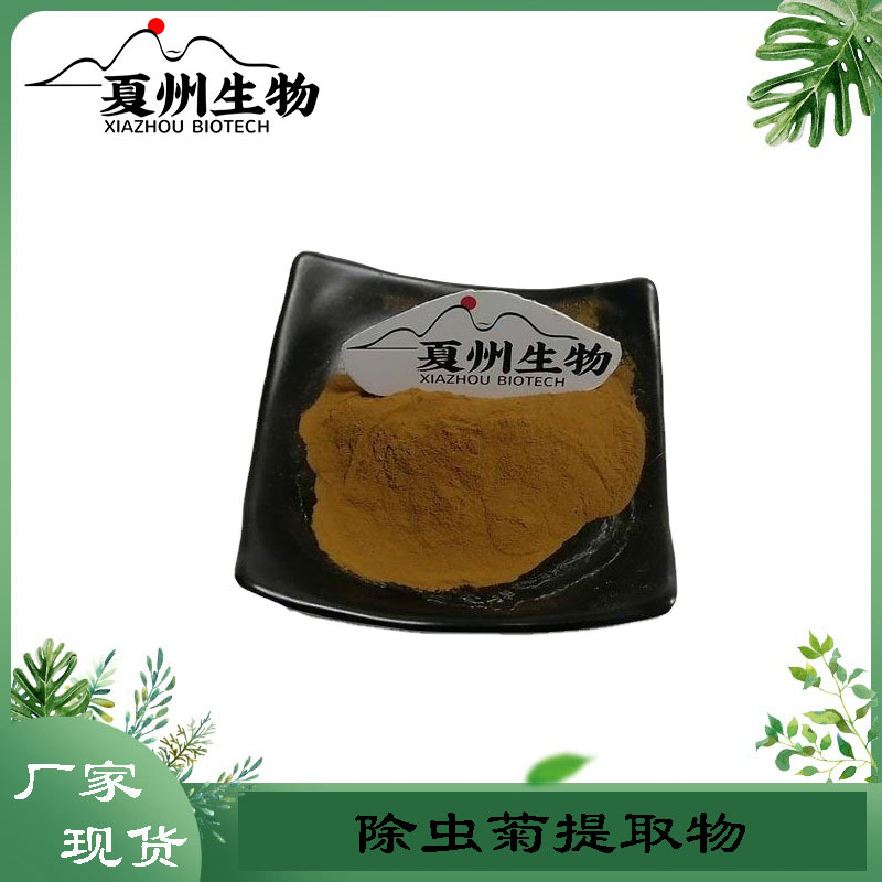 除虫菊提取物 10/20/30:1 除虫菊酯 除虫菊浸膏粉 除虫菊素 现货