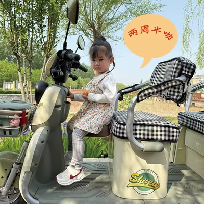Safety Seat, Electric car child seat
