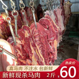 马肉新鲜现杀 新疆伊犁不注水新鲜生马肉 煲汤红烧可熏马肉